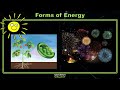 Exploring Forms of Energy for 4th Graders