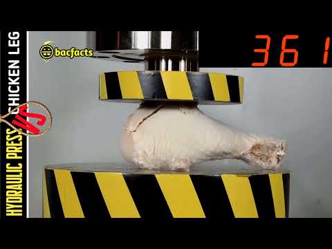 hydraulic press vs chicken leg and different types of items #bacfacts #hydraulicpress #experiment