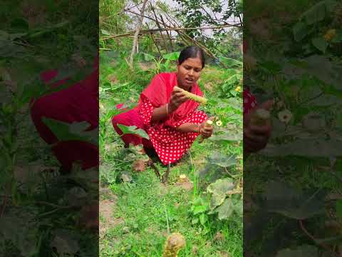 #reel #shortsvideos #reelsfypシ #foryoupageシ #vayril #foryuo #funEE #funny