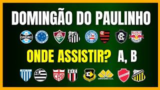 BRASILEIRÃO 2026 | DOMINGÃO DO PAULINHO | SÉRIES A e B | ONDE ASSISTIR?