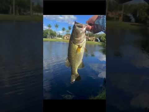 NOT even joking, it was 67! #jesus #fishing #funny #subscribe #crazy #funnyface