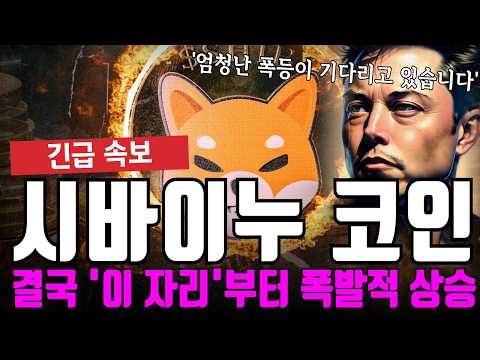 시바이누 코인 결국 '이 자리' 부터 폭발적 상승 나옵니다