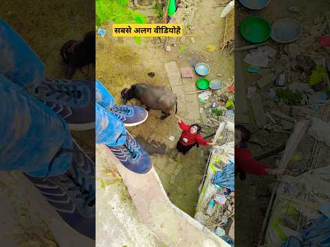 Ye Dil aashiqana #funny #youtube #memes #youtubeshorts