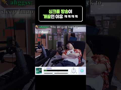 자동 사냥 ON