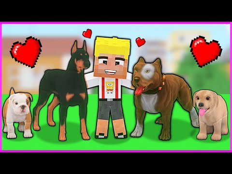 KÖPEK ÇETESİ EFEKANI EVLAT EDİNDİ! 😱 - Minecraft