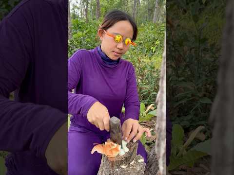 Survival Skills: SMART idea and USEFUL in forest #camping #outdoor #bushcraft #lifehacks