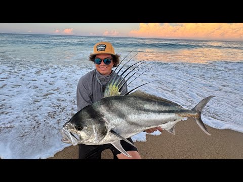 Pesca ÉPICA desde la Playa! | Pez Gallo, Dorado y más!