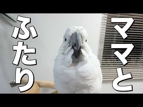 珍しくママとふたりきりの夜…大興奮!!かと思いきや?