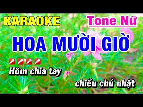 Hoa Mười Giờ Karaoke Nhạc Sống Tone Nữ Beat Hay | Hoài Phong Organ