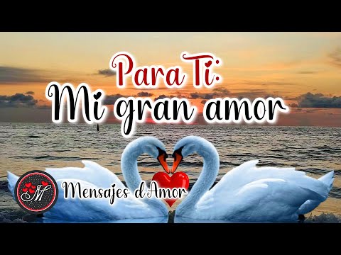 PARA TI MI GRAN AMOR 💌 No sueltes mi mano TE LO DEDICO Video mensajes de amor con música romántica