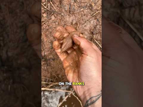 the best wild clay i’ve found