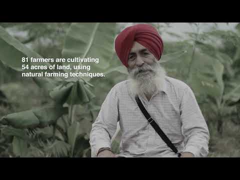 Natural Farming Punjab