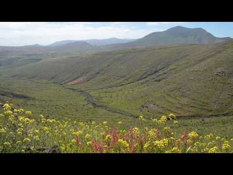 Fuerteventura Rare Bloom: Vallebrón to Caldereta - Hidden Valleys, Lost Terraces & Volcanic Peaks
