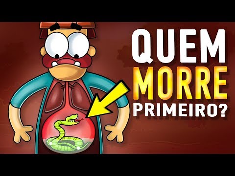 E se você Engoliu a Cobra Mais Venenosa de Todas?
