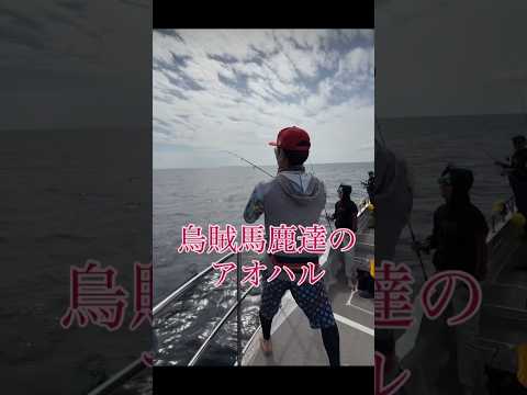 エギングは楽しい #ティップラン #ディープエジング #エギング