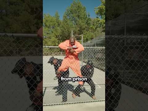 Real Ways People Escaped Prison