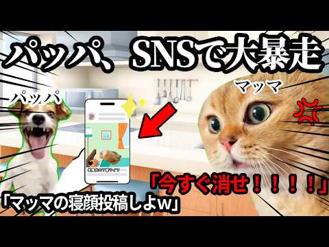 父親がインスタで家族を勝手に晒して、母親にブチギレられました #猫ミーム #猫マニ