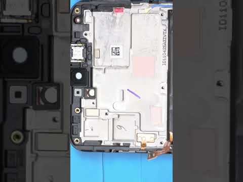 Your Phone's Red Sticker The TRUTH About Water Damage REVEALED!