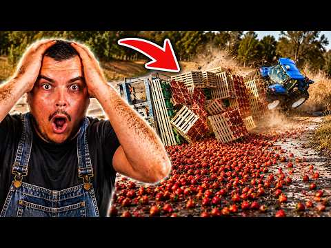 PREVRNUO SAM PUNU PRIKOLICU JAGODA! 😱 - Balkanska Farma EP128 @DjuraFrizura