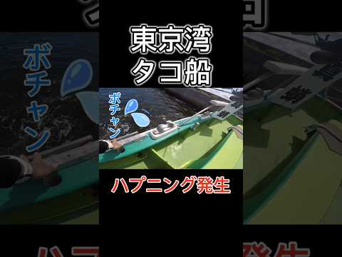 タコ釣り中のハプニング