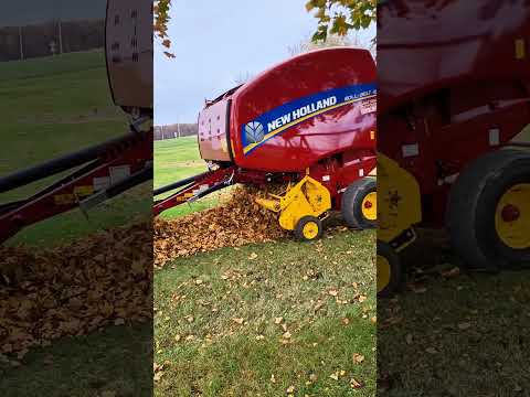 Making leaf bales for my Wife! #farming #newholland #leaves #farm #farmer #agriculture #tractor