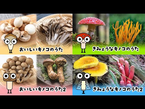 【実写版】キノコのうたメドレー
