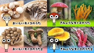 【実写版】キノコのうたメドレー