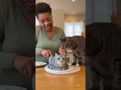 She cuts a cat cake and this happen #cat #funny