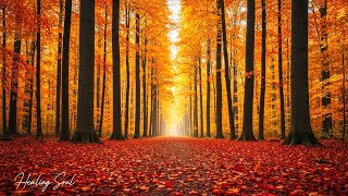 Beautiful Autumn Forest 🍁 Calming Music for Stress Relief, Inner Peace & Relaxation