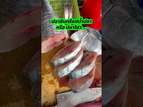 วิธีทำปลาอินทรีแช่น้ำปลา หรือปลาโข่ว #fish #fishsauce #trick #howto #yummy