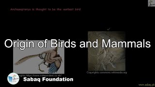 Origin of Birds and Mammals