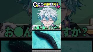 お●ん●んですか？【アキネータークイズ】