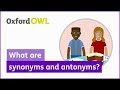 Exploring Synonyms and Antonyms