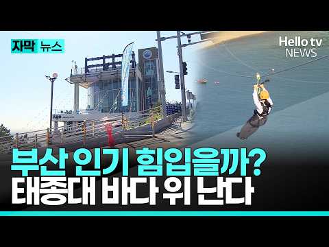 '부캉이'에 이어 '태종대' 뜰까? 부산 바다 위 나는 '짚와이어'ㅣ#자막뉴스 #헬로tv뉴스