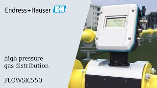 FLOWSIC550 - Ultrasonic Gas Meter