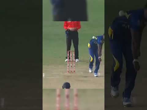 धोनी ने 6 गेंदों में उड़ाए 15 रन #CricketReels #CricketHighlights #CricketFever
