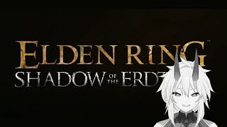 【ELDEN RING】地獄の影の国を走り回る…