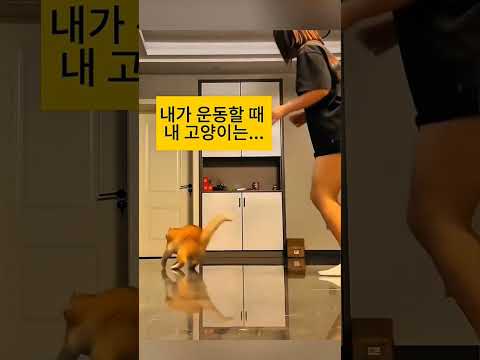 •🐈⬛: I also like to have fun with children🤣😹😹# Funny # short # viral