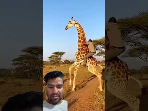 Smart Appliances! New Gadgets, Versatile Utensils, Tool Items #shorts#gadgets