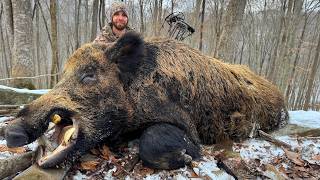 BIGGEST Hogs I've Ever Killed - You Won't Believe #3!