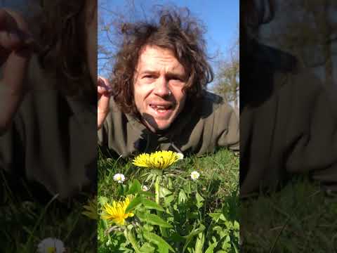 Unkraut ist der Hammer