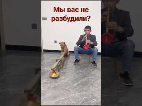 Самый лучший дуэт друзей👏👏👏