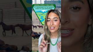 New Project 2025 L Just Dropped: The Admin’s Sending Wild Horses Off to Die