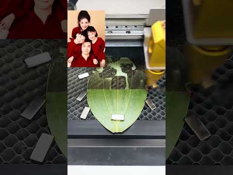 Chinese Film 📽️ Star ⭐ Family Photo Design On Leaf 🍀🥰 #art #dryleafart