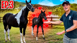 ÉGUA PARINDO ( Peão de Sorte Ep.3 )