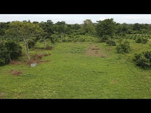 Vamos hablar de los nuevos proyectos de la huerta familiar guerrero Pérez