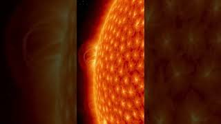 Le Soleil représente 99,86 % de toute la masse du Système solaire