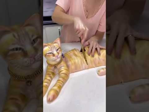 kucing Dimutilasi#kucing #shortvideo