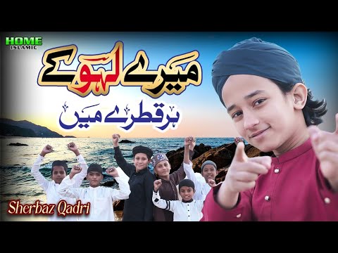 Mere Lahoo Ke Har Qatre Mein | Sherbaz Qadri | New Heart Touching Kalam 2025 | Home Islamic