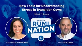 S6E7 | New Tools for Understanding Stress in Transition Cows with Dr. Laura Hernandez